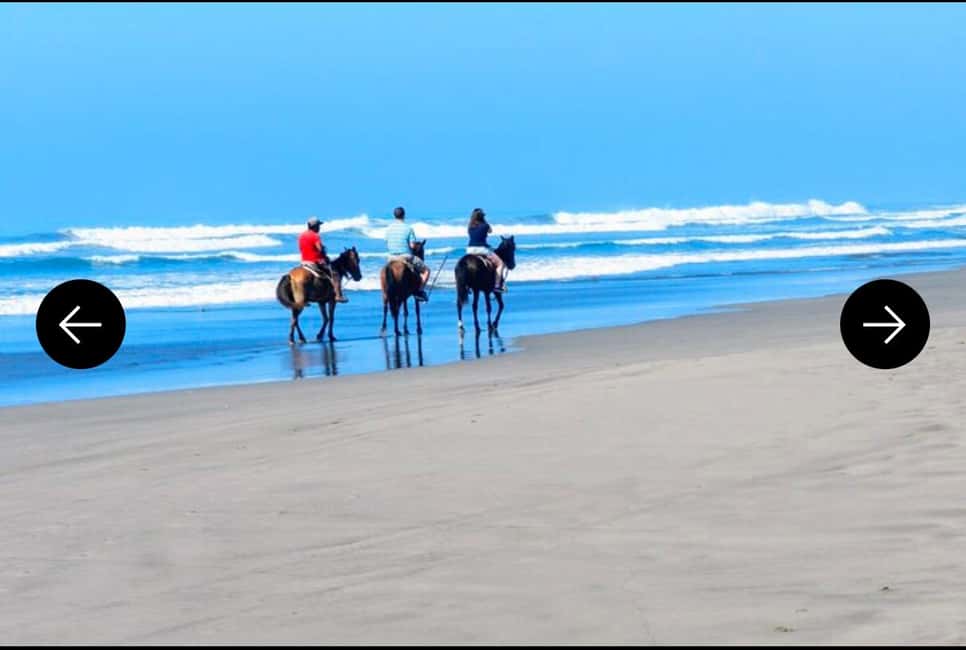 .Beach Horse Riding Turtle Release Crocodile Farm Experience - FAQ