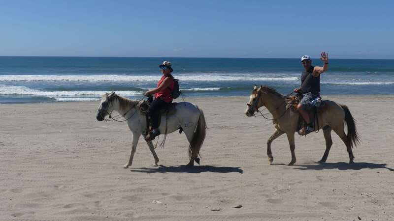 .Beach Horse Riding Turtle Release Crocodile Farm Experience - Things to Consider
