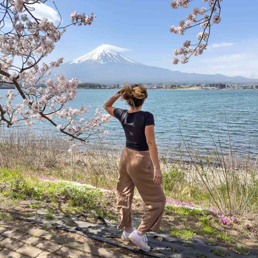 Tokyo: Mt Fuji Customizable Private Tour By English Driver - Variability and Customization