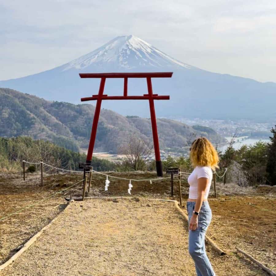 Tokyo: Mt Fuji Customizable Private Tour By English Driver - FAQs