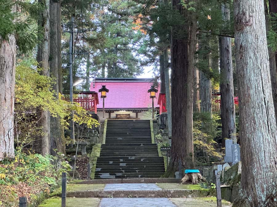 Takayama: Early Morning Guided Walking Tour & Market Visit - Good To Know