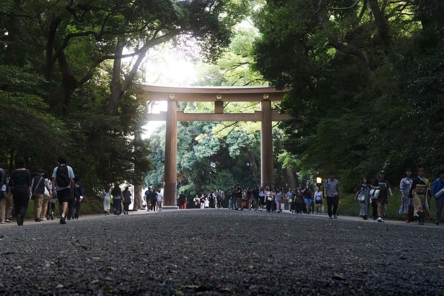 Tokyo: 2-hour Early Morning E-bike Tour of Shrines - Who Will Love This Tour?