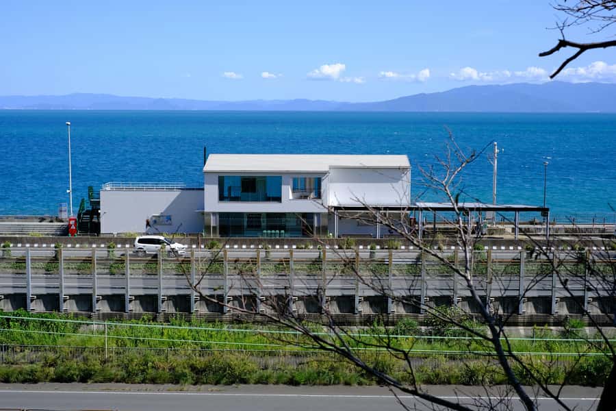 Shizuoka: 10-hour Private Tour & Japanese Tea - Who Will Enjoy This Tour?