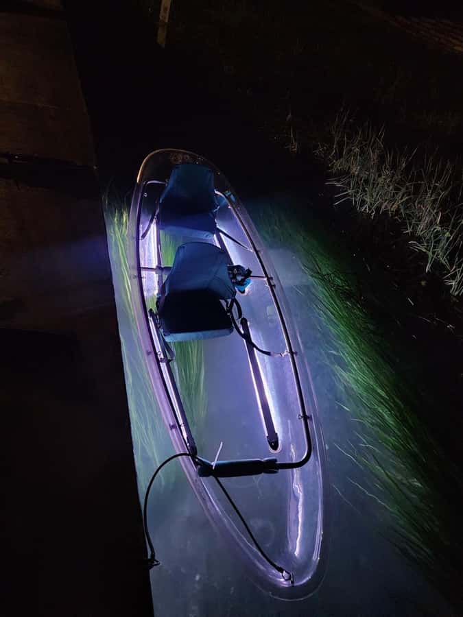 San Marcos: Sunset Clear Kayak Eco Tour with Glow Lights - The Experience in Detail: What to Expect