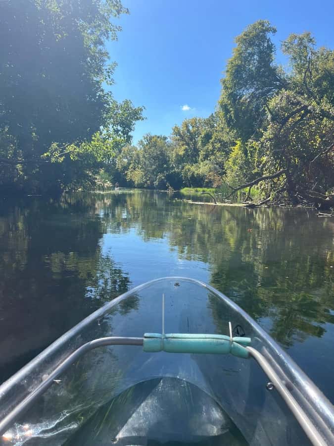San Marcos: Sunset Clear Kayak Eco Tour with Glow Lights - Why We Think This Tour Offers Great Value