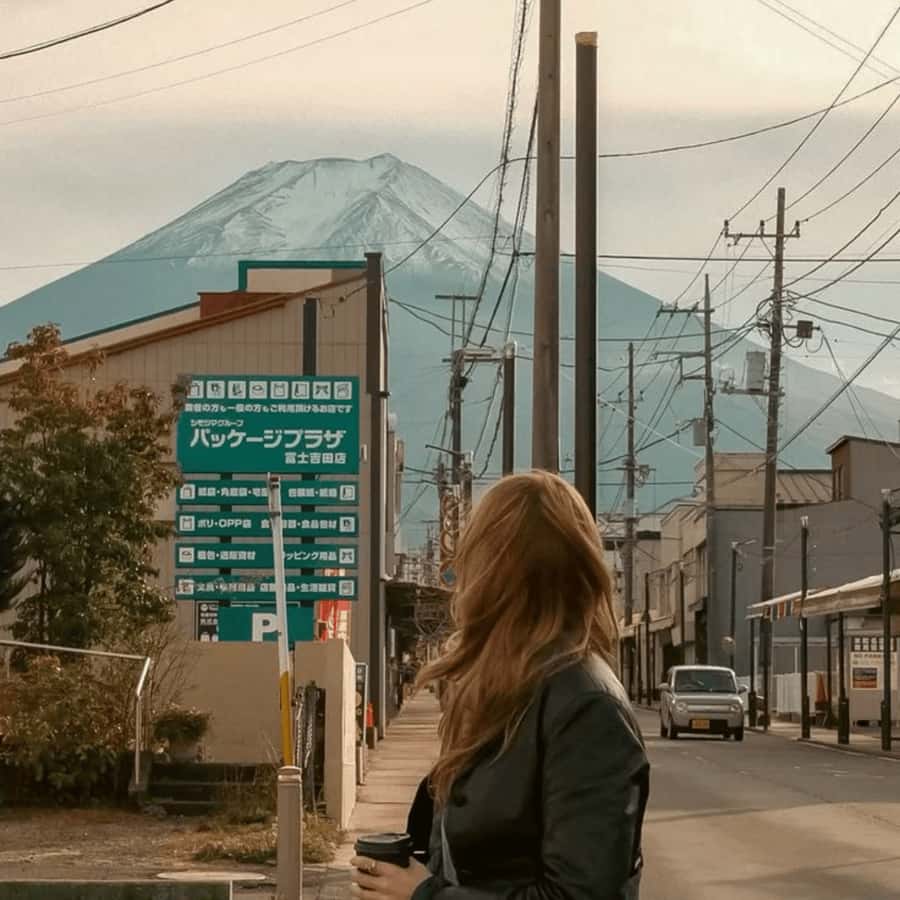 Tokyo: Mount Fuji Private Customizable Tour In Luxury Van - An In-Depth Look at the Mount Fuji Private Tour