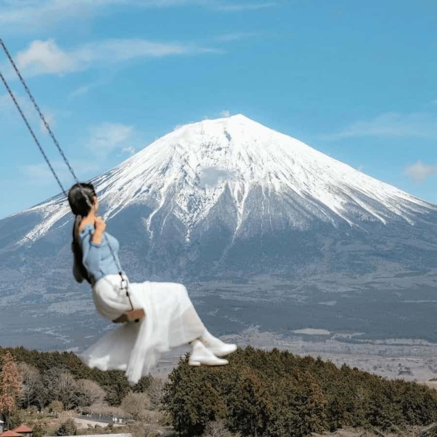 Tokyo: Mount Fuji Private Customizable Tour In Luxury Van - Key Points