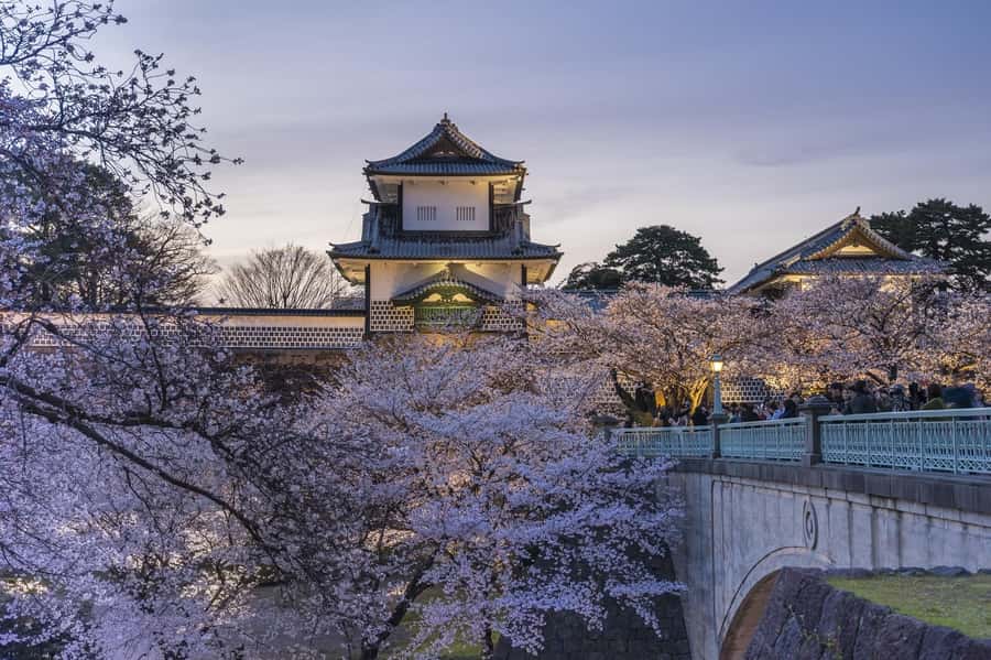 Kanazawa: Taiko Drum Workshop Tour with Sake Brewery Meal - Who Will Love This Tour?