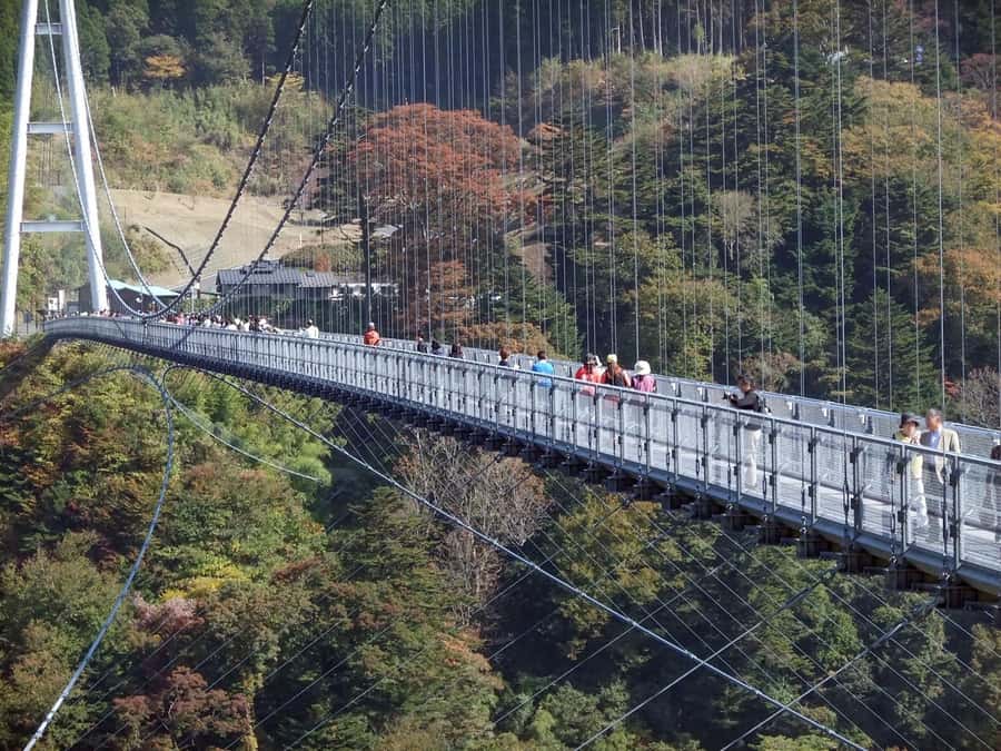 Beppu: Private Shore Excursion Beppu Hells & Sky Bridge - How the Tour Runs