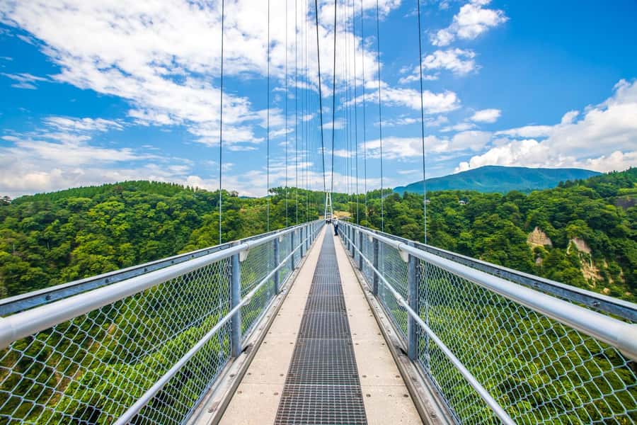 Beppu: Private Shore Excursion Beppu Hells & Sky Bridge - Experiencing Beppu: What You Can Expect