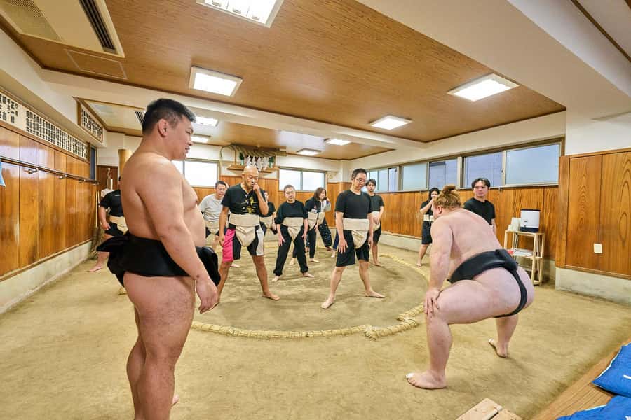 Tokyo: Sumo Training & Dining experience in Yokozuna's Dojo - Key Points