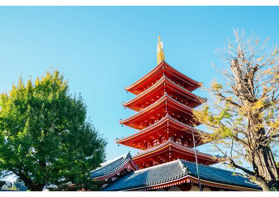 Tradition and Pop Culture: From Asakusa to Akihabara - Practical Details and Value