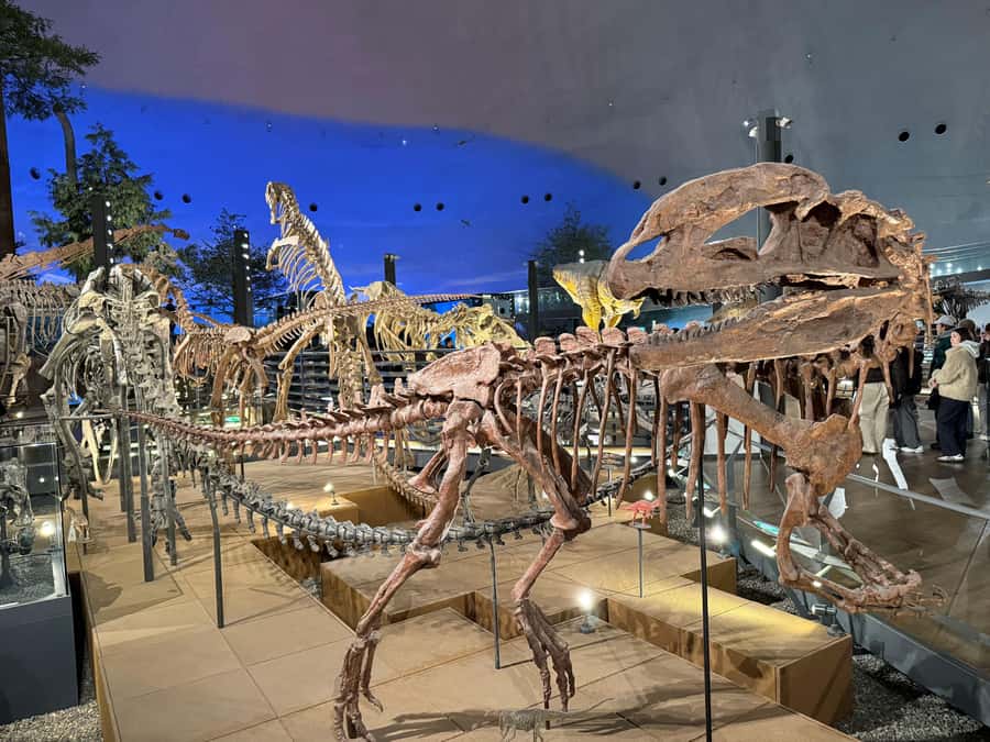 World-Class Dinosaur Museum Tour from Kanazawa - FAQ