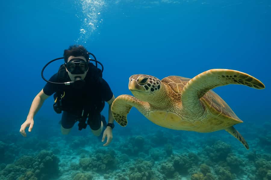 Koh Tao: Beginner Scuba Diving Experience with Gear - An Honest Look at the Koh Tao Beginner Scuba Tour