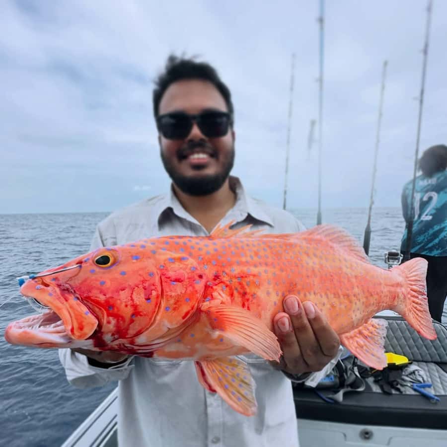 Guided fishing trips in Maldives - Key Points