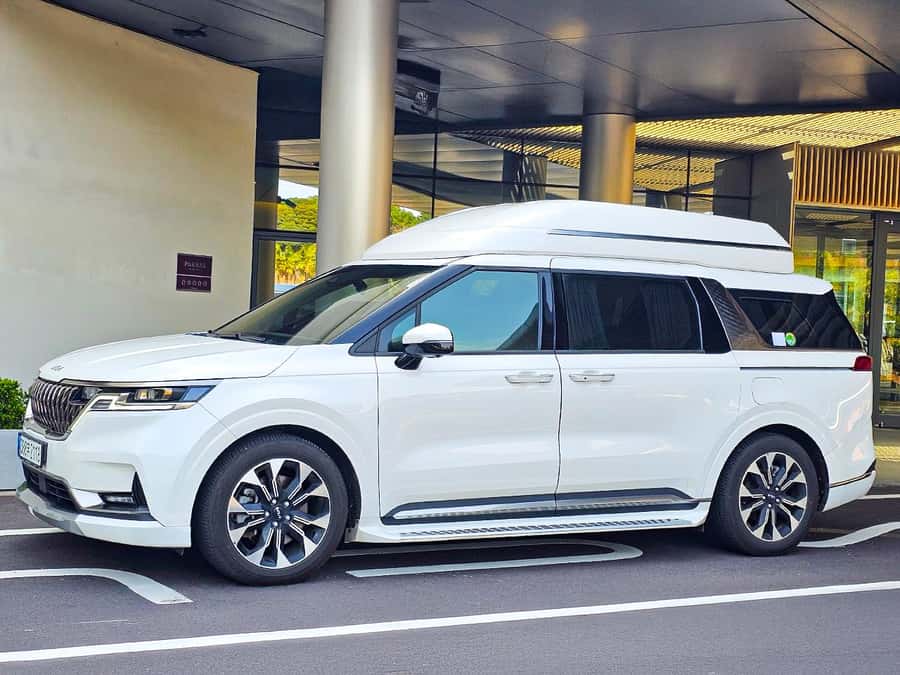 Busan: VIP Small-Group Shore Excursion for Cruise Passengers - Who Will Love This Tour?