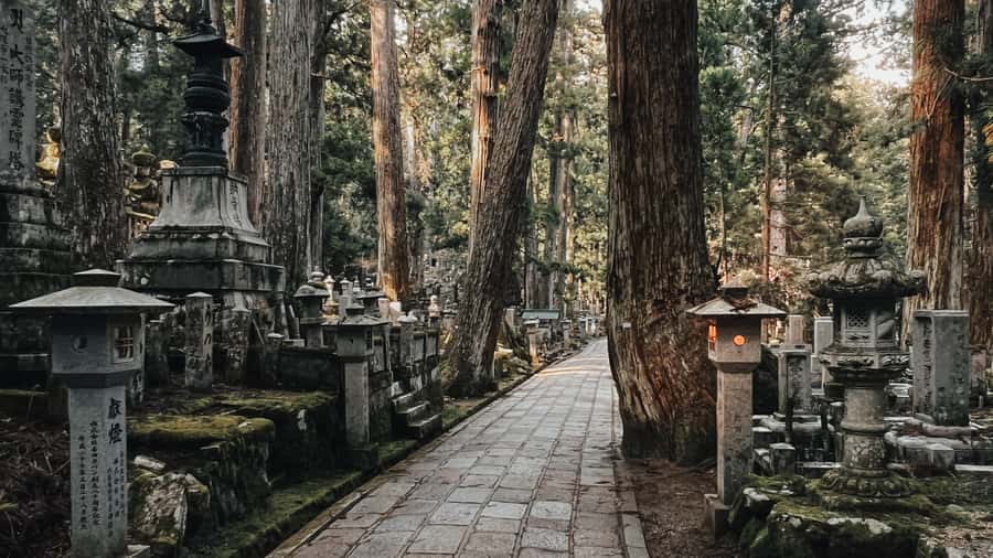 Serenity & Sacred Sites: Koyasan Full-Day Guided Walk - A Detailed Look at the Koyasan Sacred Walk