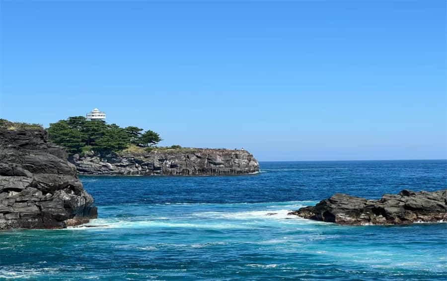 Izu: Ito Coast Grotesque & Doll Museum Day Trip From Tokyo - A Balanced Look at the Izu Coastal Day Trip