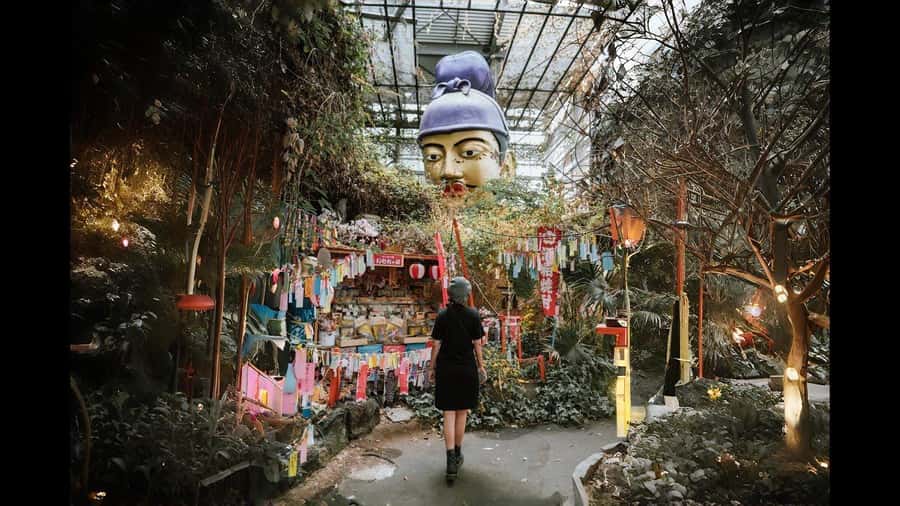 Izu: Ito Coast Grotesque & Doll Museum Day Trip From Tokyo - Key Points