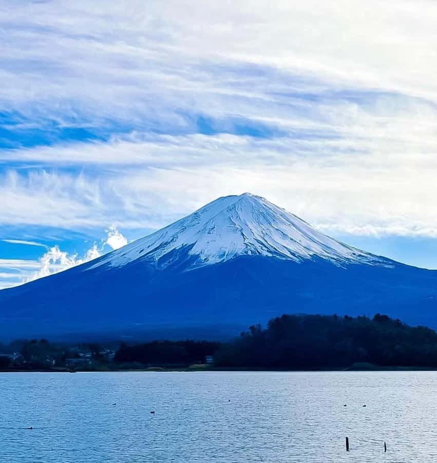 From Tokyo: Mount Fuji Full Day Customize Private Tour - Good To Know