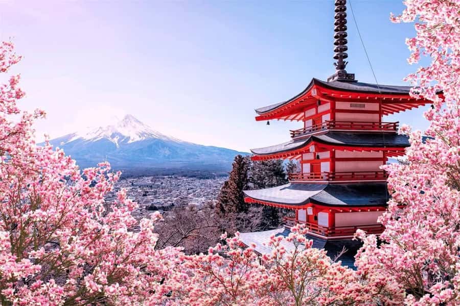 From Tokyo: Mount Fuji Full Day Customize Private Tour - The Experience: What Travelers Can Expect