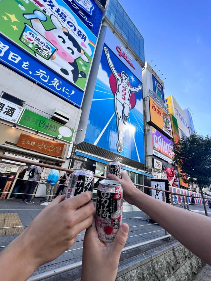 Osaka Day Tour: Secret Spots & Local Treasures - Exploring Osaka’s Hidden and Classic Sides: A Detailed Look at the Secret Spots & Local Treasures Tour