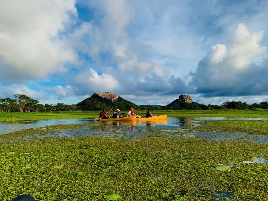 Sigiriya: Prime Horizon Kayak Experience - The Sum Up