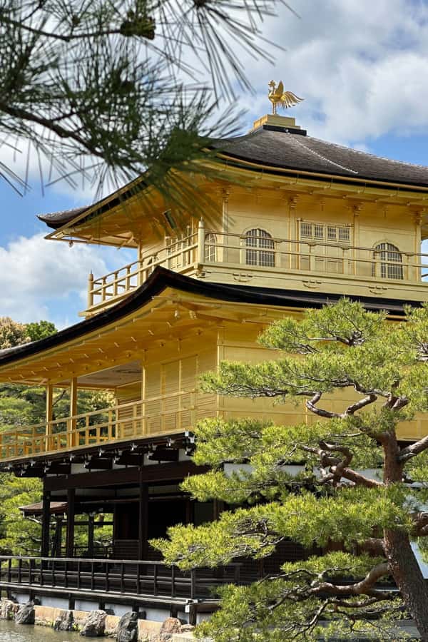 Kyoto Day Trip from Tokyo by Bullet Train Private Tour - An In-Depth Look at the Tour