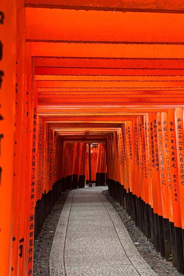 Kyoto Day Trip from Tokyo by Bullet Train Private Tour - Final Thoughts: Is It Worth It?