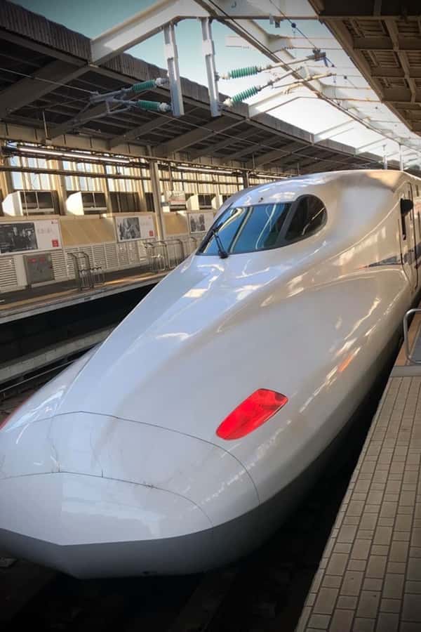 Kyoto Day Trip from Tokyo by Bullet Train Private Tour - Who Should Consider This Tour?
