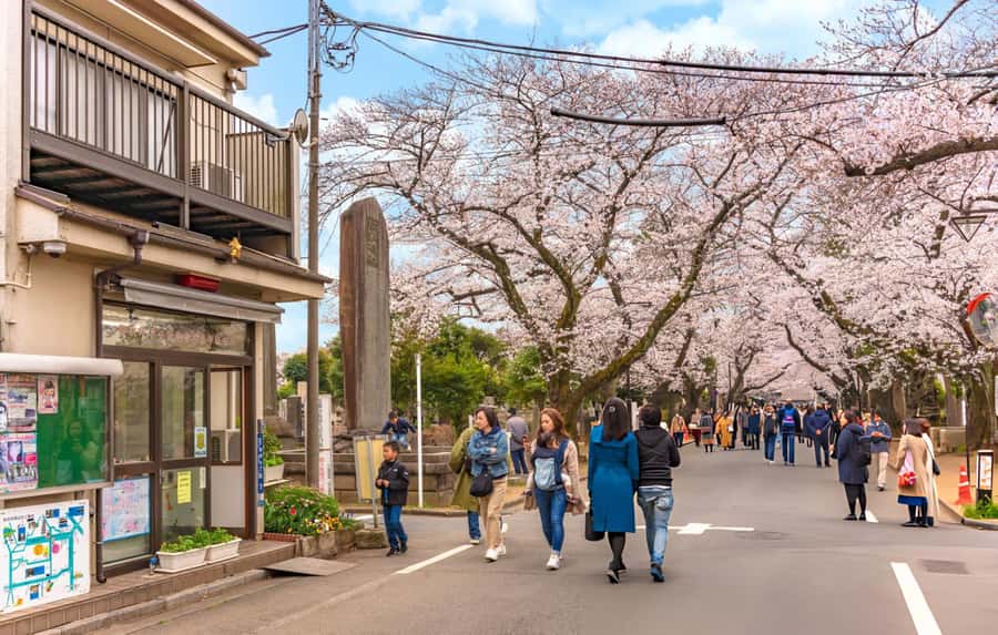 Explore the Old Town of Tokyo: Guided Walking Tour on Foot - Key Points