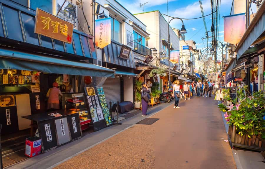 Explore the Old Town of Tokyo: Guided Walking Tour on Foot - Who will love this tour?
