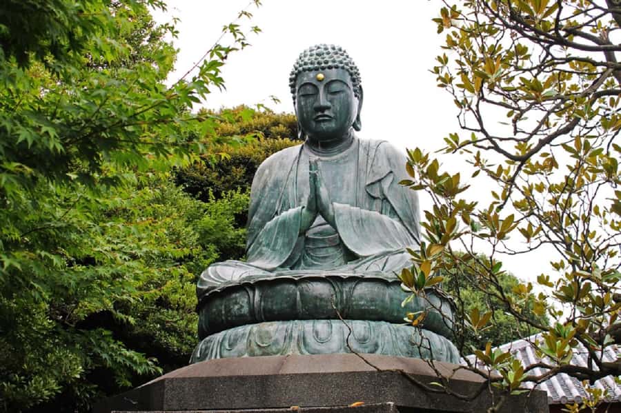 Explore the Old Town of Tokyo: Guided Walking Tour on Foot - Frequently Asked Questions