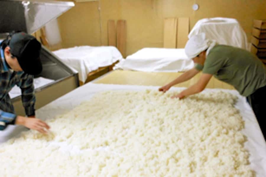 Fukui City: Funaki Sake Brewery Tour and Tasting - Exploring Fukui’s Hidden Gem: Funaki Sake Brewery