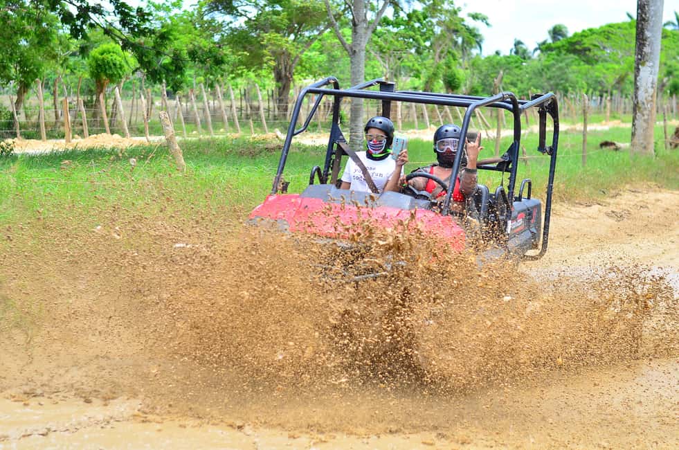 Punta Cana: Buggies and 4-Wheels  Off-Road Adventure - The Vehicles and Their Appeal