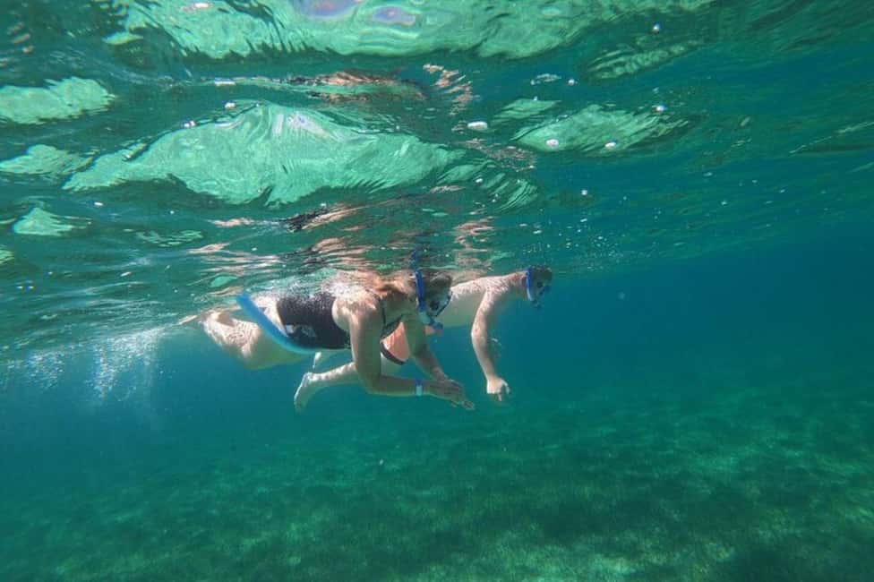 Rose Island Adventure: Turtle, Swim and Snorkel - Who Will Love This Tour?