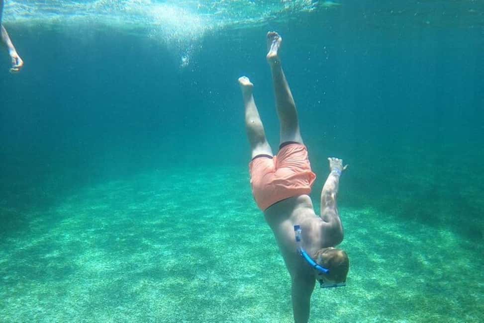 Rose Island Adventure: Turtle, Swim and Snorkel - Key Points