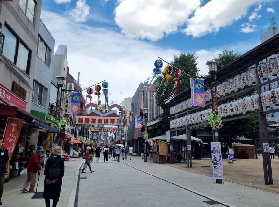 Tokyo: Sugamo Walking Tour with local food and Temple Visit - Practical Details and Tips
