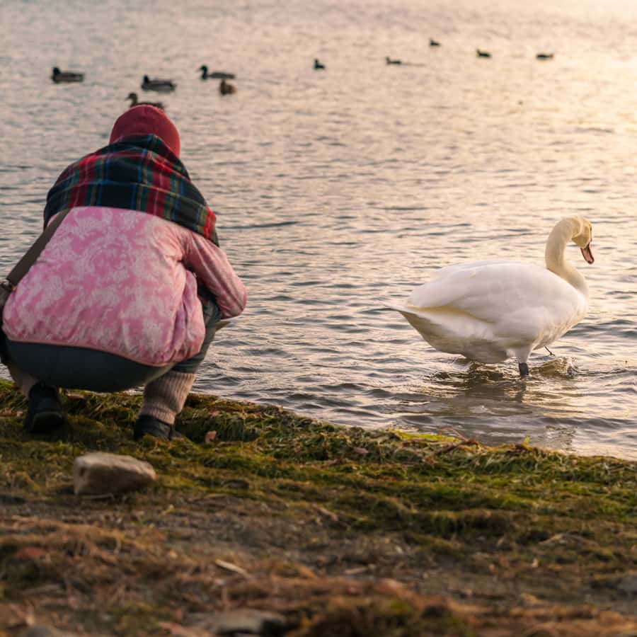 Tokyo: Hakone Private Tour By English Verbal Driver In Prado - FAQs