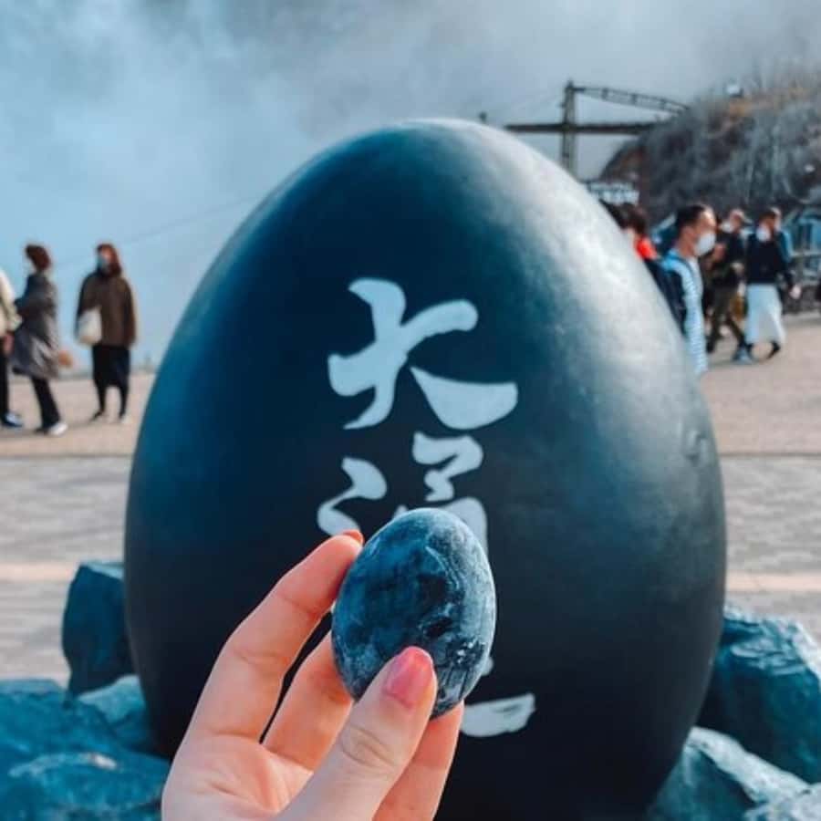 Tokyo: Hakone Private Tour By English Verbal Driver In Prado - Deep Dive into the Itinerary