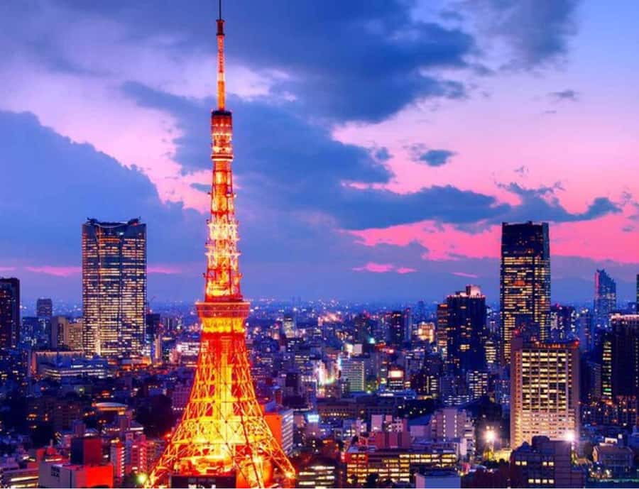 Tokyo Full Day Private Sightseeing Tour with English Driver - Final Thoughts: Who Will Love This Tour?