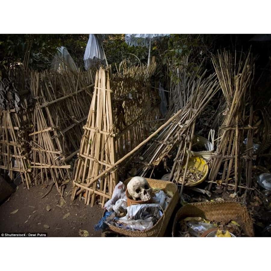 Bali: Trunyan Village & Lake Batur Sunset Boat Tour - A Step-by-Step Breakdown of the Tour