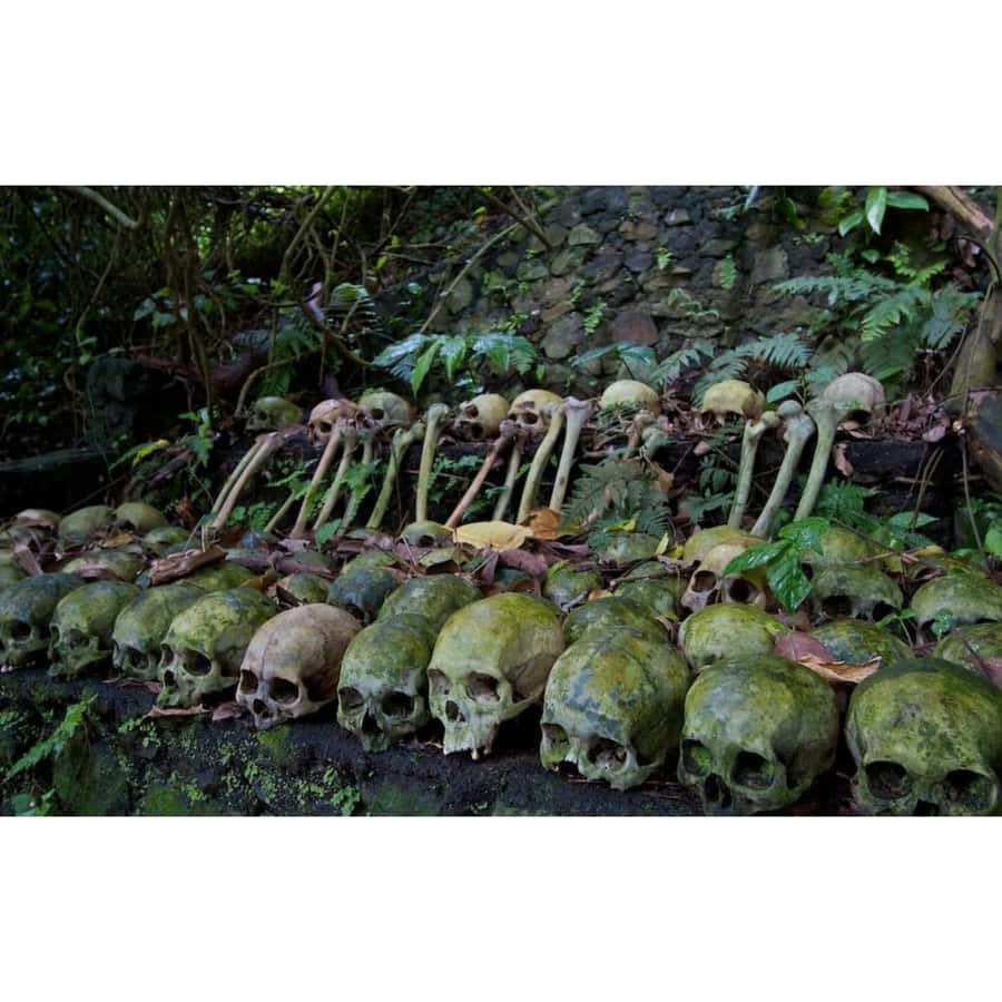 Bali: Trunyan Village & Lake Batur Sunset Boat Tour - What is this tour about?