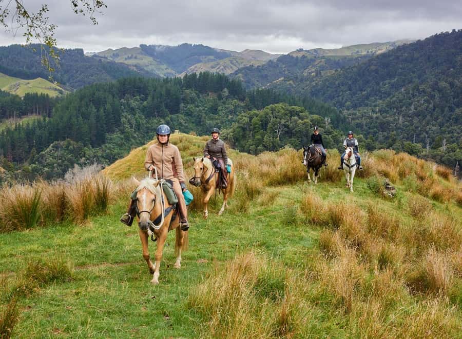 River Valley Lodge: High Country Enchantment Horse Trek - Who Should Consider This Tour?