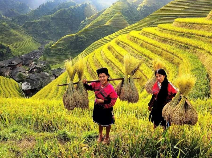 2-Day Private Custom Tour: Guilin  Longji  Fenghuang - Final Thoughts: Who Would Love This Tour?