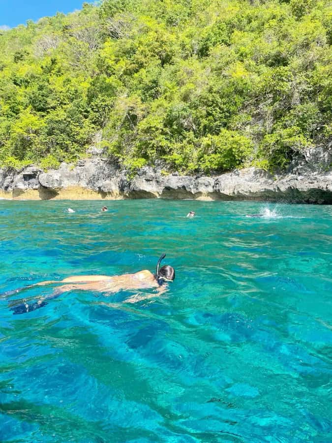 Bali: Blue Lagoon Snorkeling & Waterfalls Day Trip - Exploring Bali’s Marine Wonders: Blue Lagoon & Tanjung Jepun