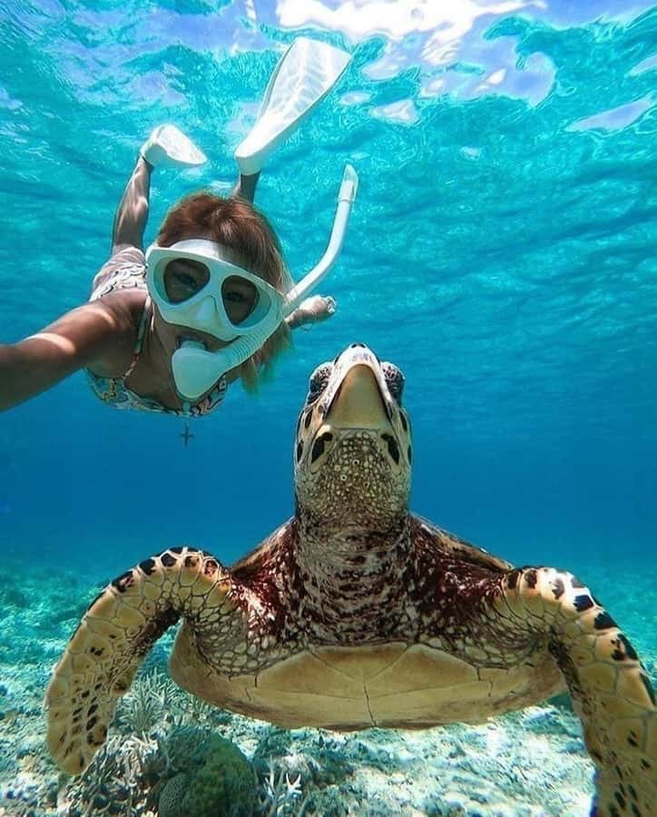 Bali: Blue Lagoon Snorkeling & Waterfalls Day Trip - Authentic Local Cuisine & Cultural Flavor