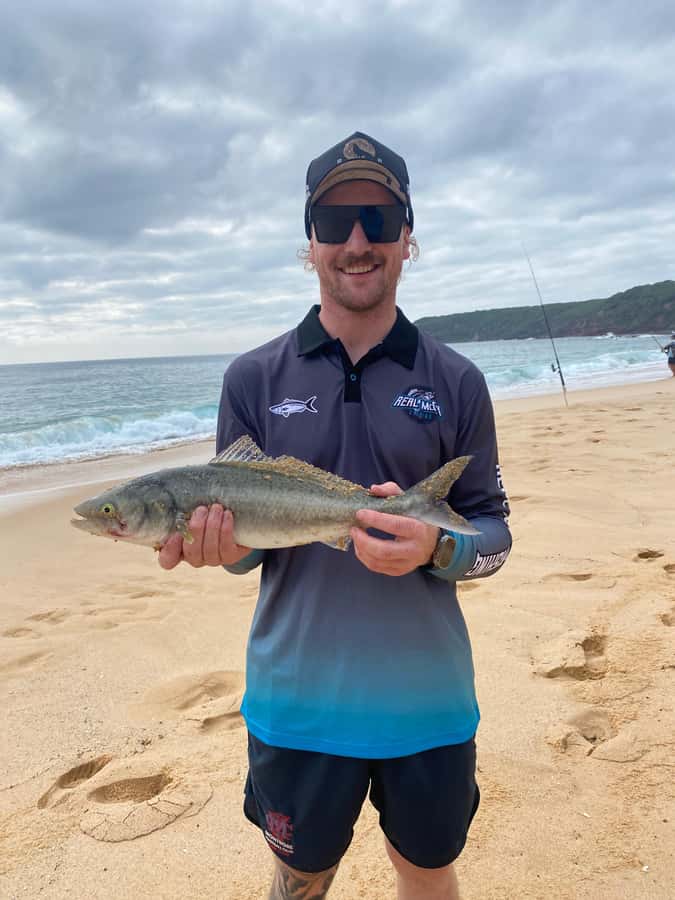 Sapphire Coast: Beach Fishing Tour - How It All Comes Together