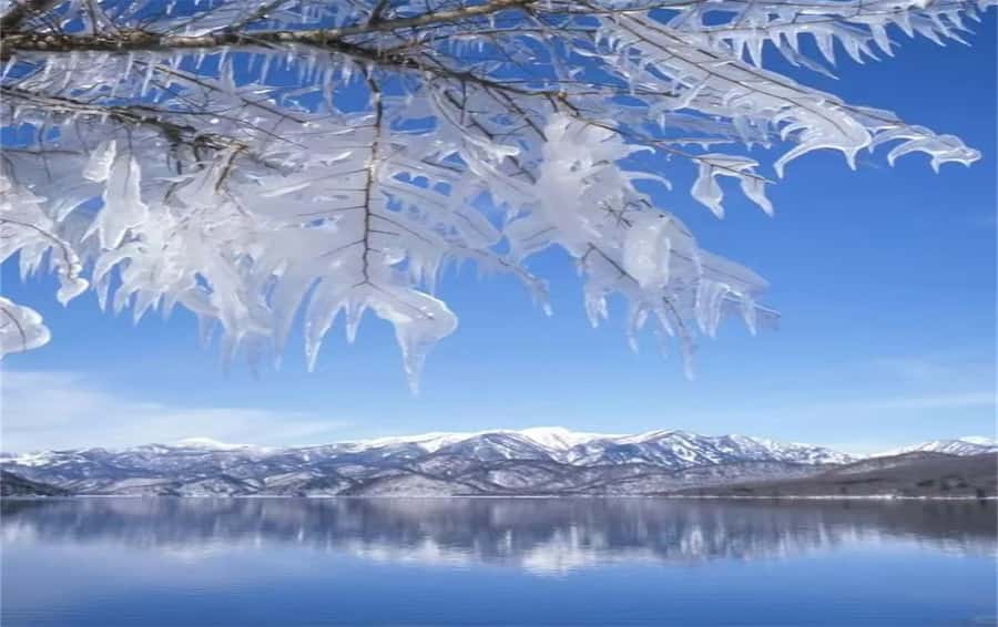 From Tokyo: Nikko World Heritage & Quarry Ruins Day Trip - Practical Information and Tips