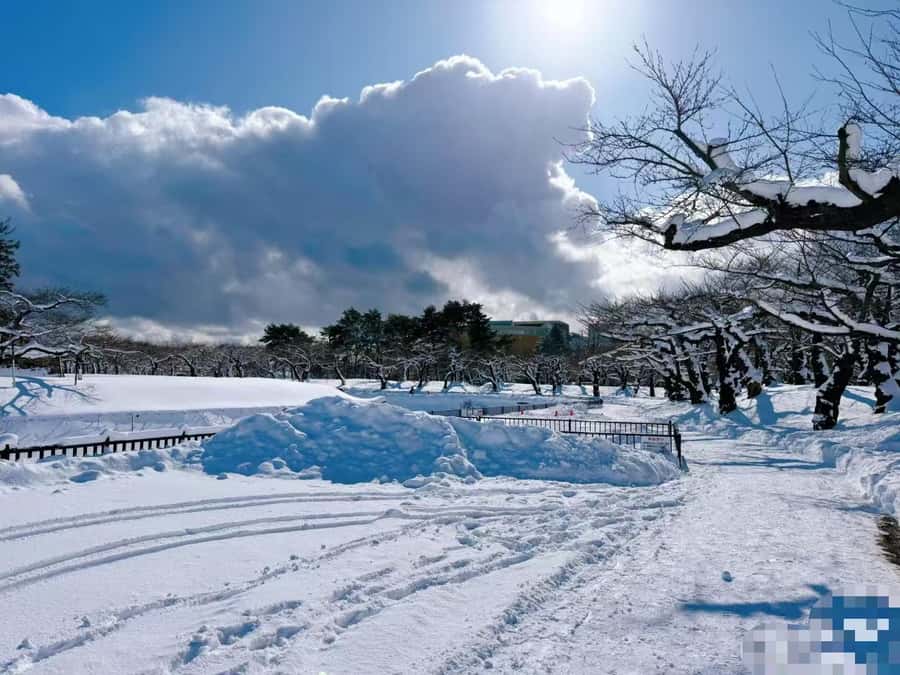 Sapporo: 4-Day Hakodate, Lake Toya, & Noboribetsu Tour - Itinerary Breakdown and What You Can Expect